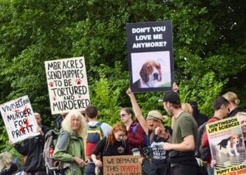 Animal testing protest at MBR Acres beagle breeding facility