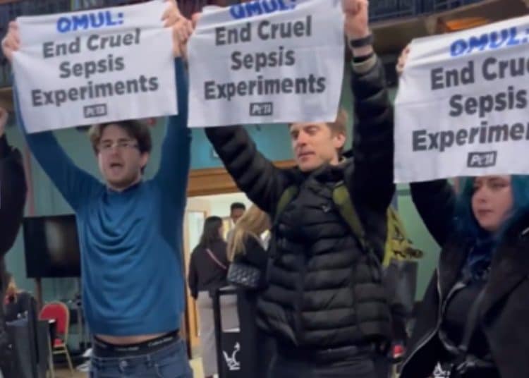PETA protest against QMUL sepsis experiments on mice