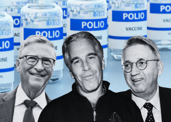 Epstein involvement in polio eradication