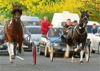 Sulky racing