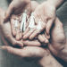 Foster care ravaged by profit-hungry private equity firms
