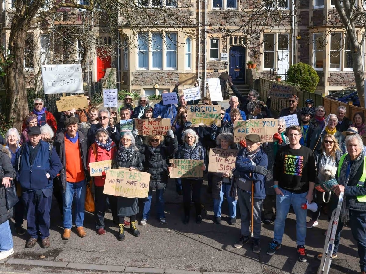 Protest 8 1 24feed