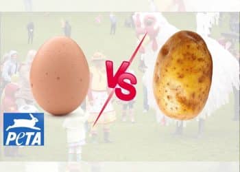 An egg and a potato with a 'VS' symbol between them, PETA logo