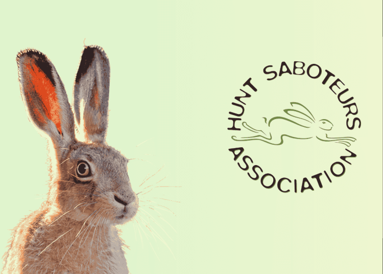 Hunt Saboteur Association logo