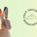 Hunt Saboteur Association logo