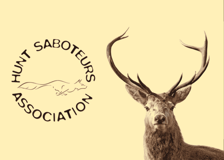 A pale yellow background with a stag's head on the right. Next to it on the left is the Hunt Saboteurs Association fox logo