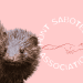 Pale pink background with a mink on the left hand side. On the right hand side is the Hunt Saboteurs Association's logo