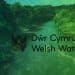 River Wye with Dwr Cymru Welsh Water's logo superimposed and a green and blue swirled colour overlay. DWP