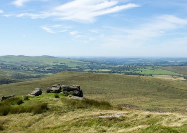 Dartmoor overgrazing