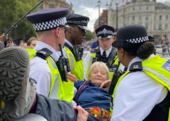 Police carry a protester at a demonstration in Trafalgar Square calling for the lifting of the proscription of Palestine Action Right to protest