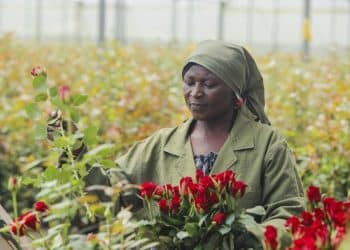 Fairtrade flower grower Rebecca Amoth