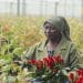 Fairtrade flower grower Rebecca Amoth