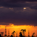 Oil field in Iran