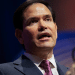 marco rubio
