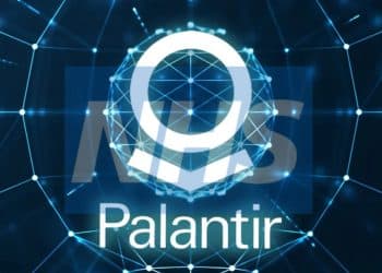 Composite image of NHS logo within a Palantir image