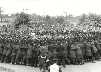 Orgreave