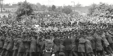 Orgreave