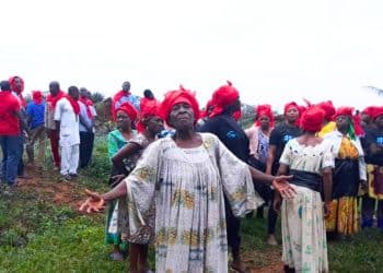 Plantation workers