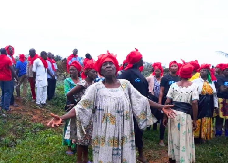 Plantation workers