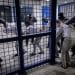 Political Prisoners