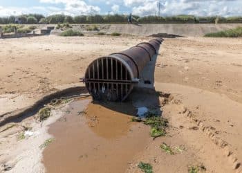 Sewage