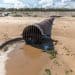 Sewage