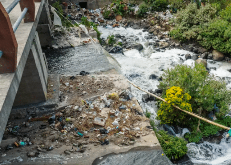 Greed and criminality in the water industry