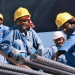 south asian workers