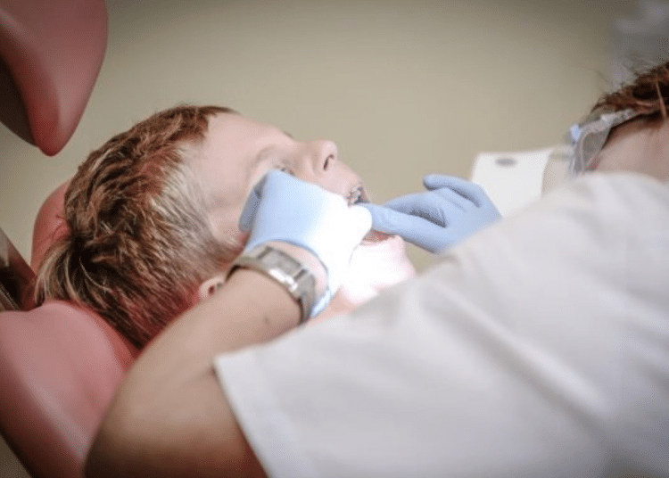 private dentists - a dentist examines the teeth of a young boy