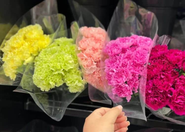 Plastic wrapped flowers in a shop