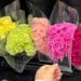 Plastic wrapped flowers in a shop
