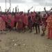 Maasai people booted off ancestral land in name of conservation