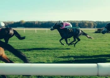 The most winning jockeys and horses of all time at Cheltenham festival