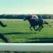 The most winning jockeys and horses of all time at Cheltenham festival