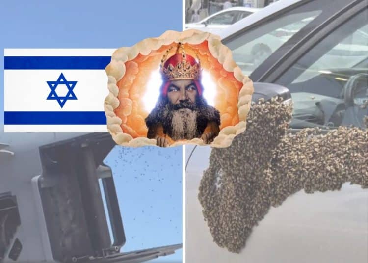 Image of swarms of bees in Israel and the depiction of God from Monty Python
