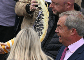 reform farage