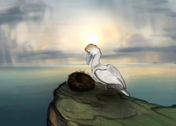 Still from animation showing gannet parent looking sadly at an empty nest following guga hunt