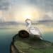 Still from animation showing gannet parent looking sadly at an empty nest following guga hunt
