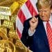 Trump gold