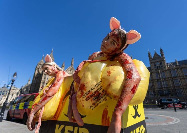 PETA "pigs" in a "clinical waste bin" highlighting animal experiments