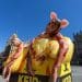 PETA "pigs" in a "clinical waste bin" highlighting animal experiments