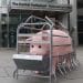 Penny the animatronic pig in a farrowing crate at the Scottish parliament