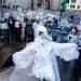 Rob Pownall, in giant bird costume, campaigns against gannet hunt