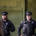 Palantir deal with Met police hits a snag