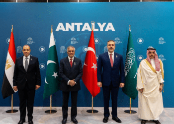 Egypt brokers peace, sidelines of Antalya Diplomatic Forum