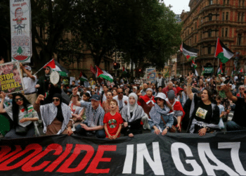 pro-palestine protest