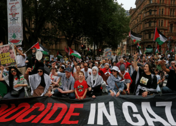 pro-palestine protest