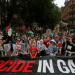 pro-palestine protest