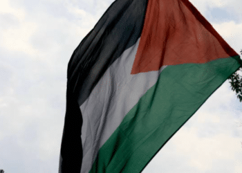 palestine declassified