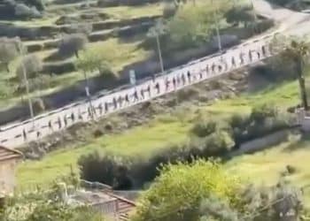 Three Palestinians murdered in just over 24 hours by illegal Israeli settlers in occupied West Bank